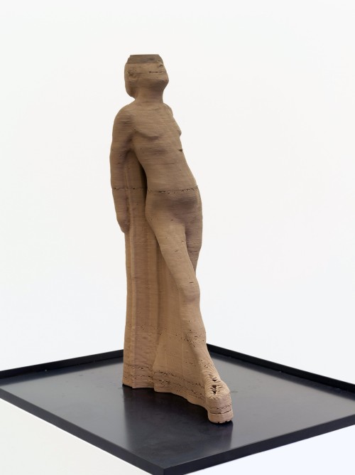 Antoine Renard - amnesia