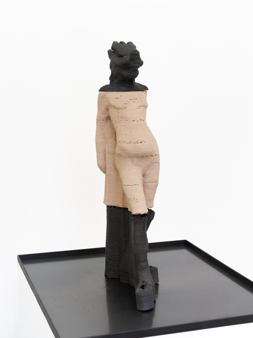 Antoine Renard - amnesia