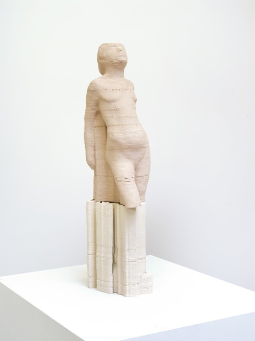 Antoine Renard - amnesia