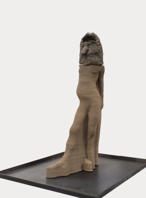 Antoine Renard - amnesia