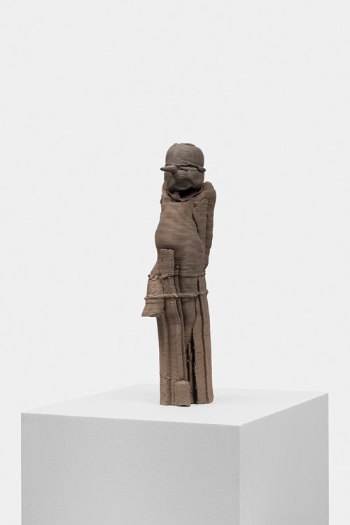 Antoine Renard - amnesia