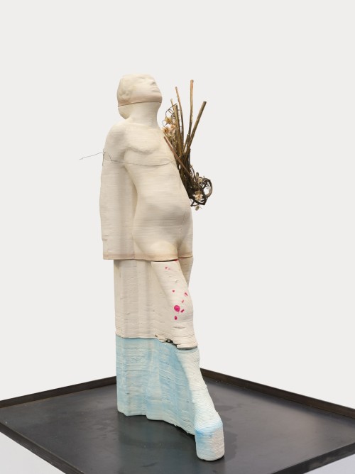 Antoine Renard - amnesia