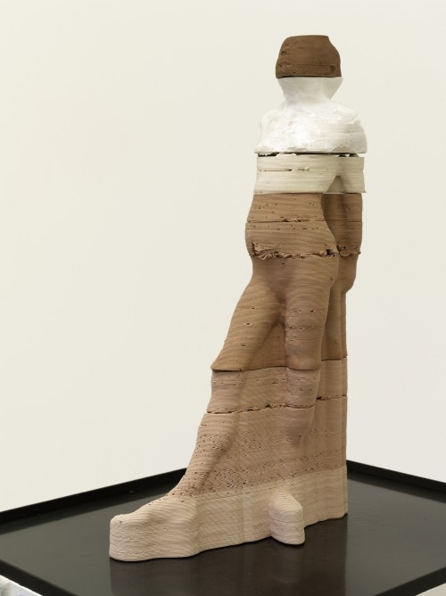 Antoine Renard - amnesia