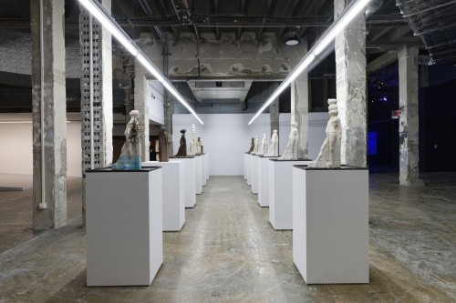 Antoine Renard - amnesia