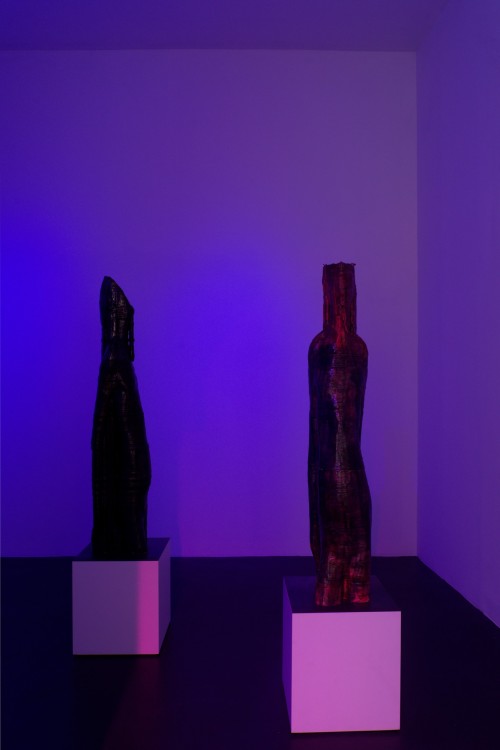 Antoine Renard - DEMONS