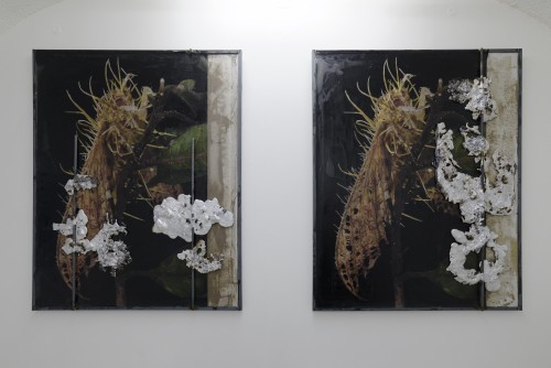 Antoine Renard - Resource Operations Part II (eden park)