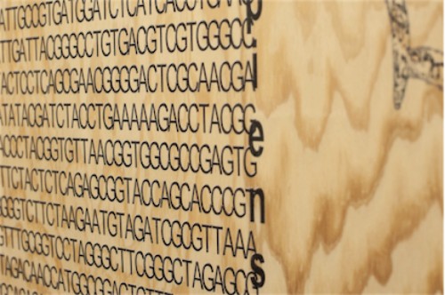 Antoine Renard - meatwad fan club