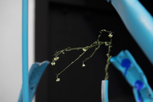 Antoine Renard - geometries of L.O.V.E.