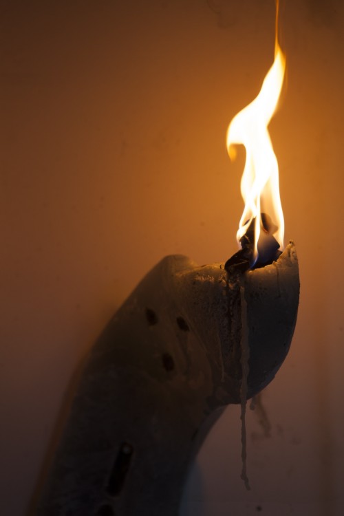 Antoine Renard - I spell it Nature