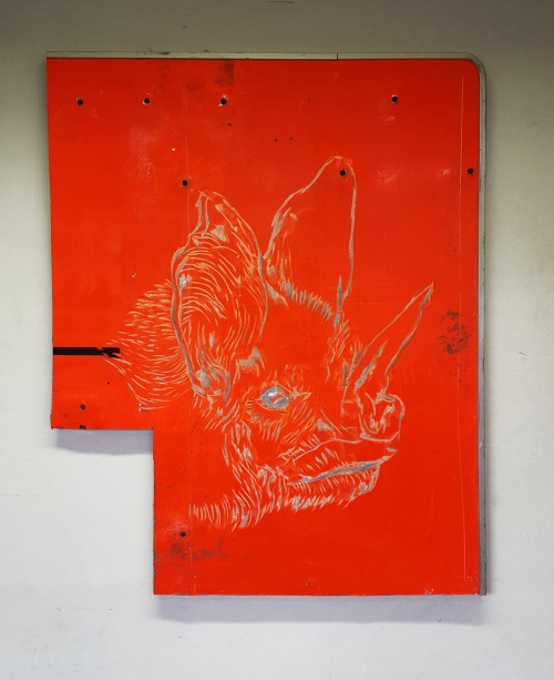 Antoine Renard - I spell it Nature