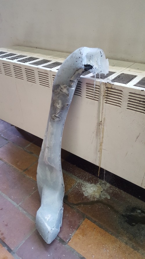 Antoine Renard - I spell it Nature