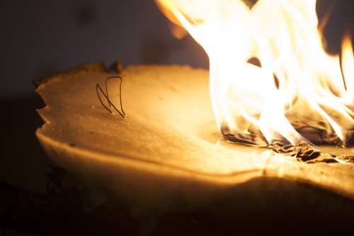 Antoine Renard - I spell it Nature