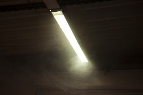 Antoine Renard - I spell it Nature