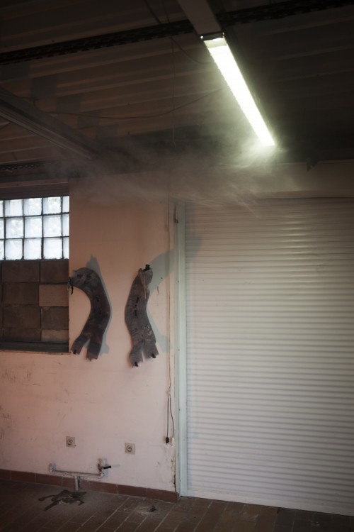 Antoine Renard - I spell it Nature