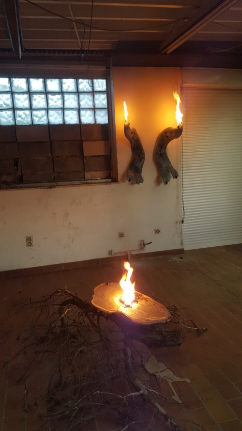 Antoine Renard - I spell it Nature