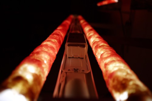 Antoine Renard - in vitro study