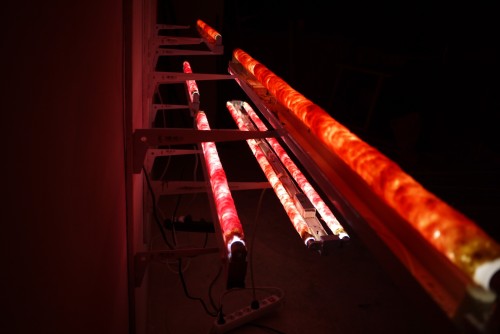 Antoine Renard - in vitro study