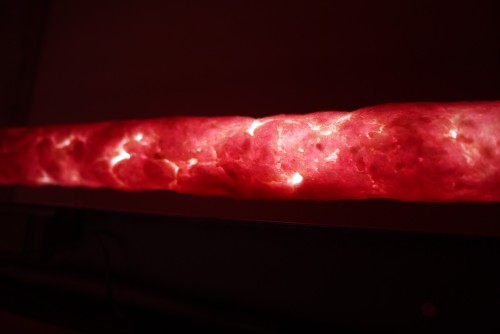 Antoine Renard - in vitro study