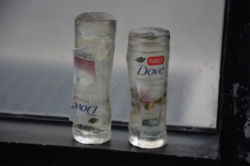 Antoine Renard - Jurassic Haze