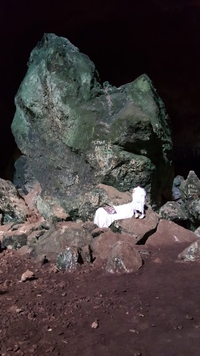 Antoine Renard - SIX MEMOS FOR THE NEXT MILLENIUM