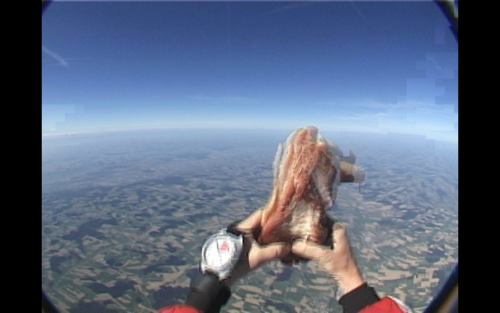 Antoine Renard - meatdrop experiment