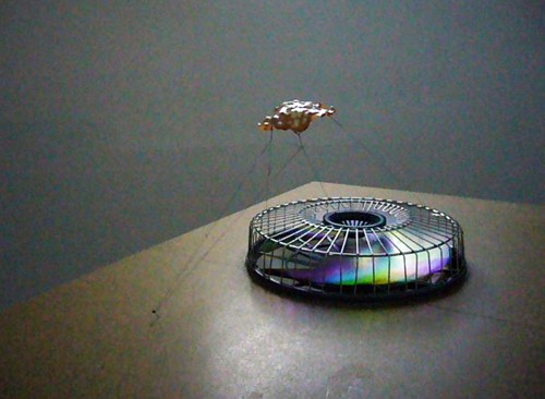 Antoine Renard - meatdrop experiment