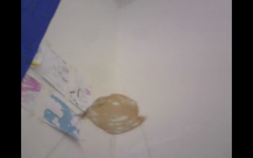 Antoine Renard - meatdrop experiment