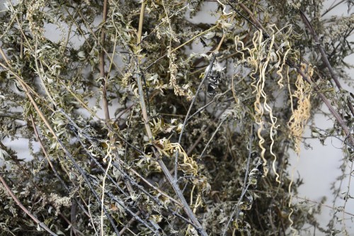 Antoine Renard - DEIMOS LAB (after Tianjin)