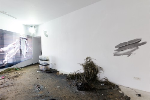 Antoine Renard - DEIMOS LAB (after Tianjin)