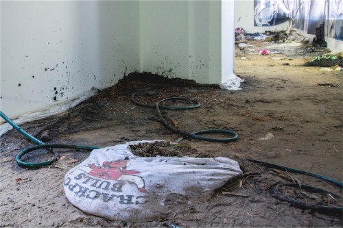 Antoine Renard - DEIMOS LAB (after Tianjin)