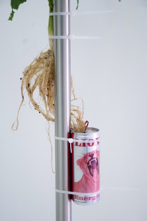 Antoine Renard - open studio 2012