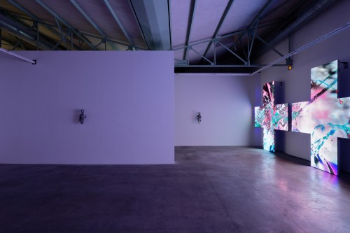 Antoine Renard - pharmakon