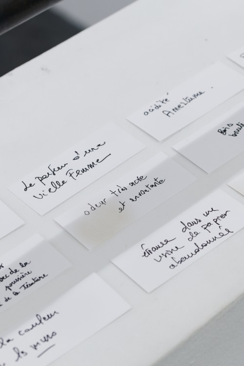 Antoine Renard - pharmakon