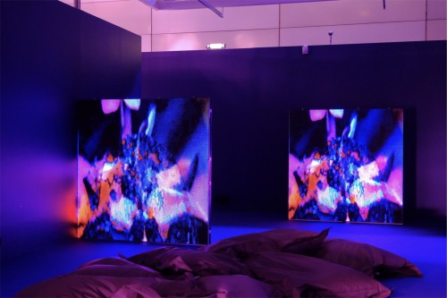 Antoine Renard - psychobotania