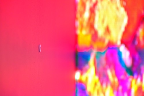 Antoine Renard - psychobotania