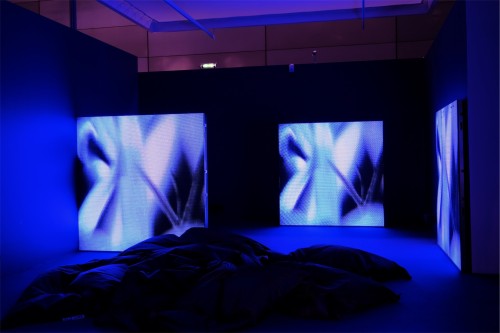 Antoine Renard - psychobotania