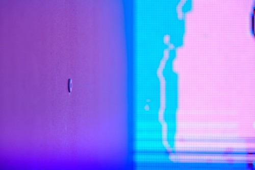 Antoine Renard - psychobotania