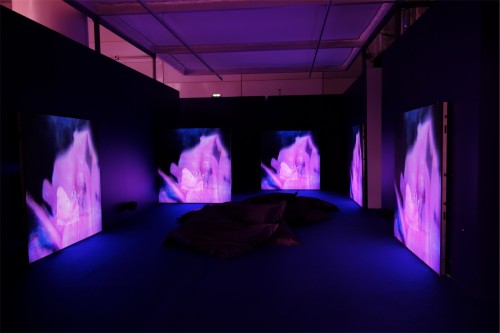 Antoine Renard - psychobotania