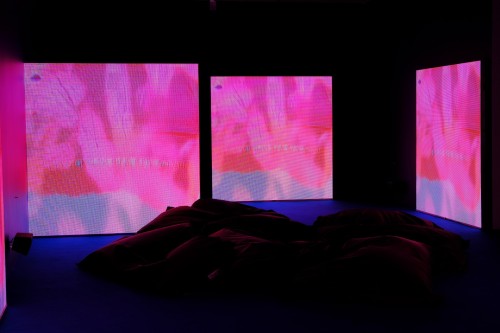 Antoine Renard - psychobotania