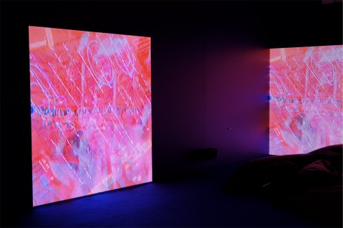 Antoine Renard - psychobotania