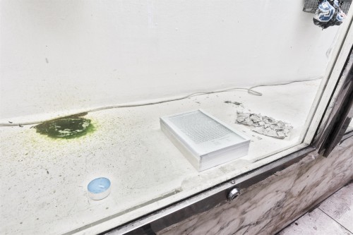 Antoine Renard - junk altars