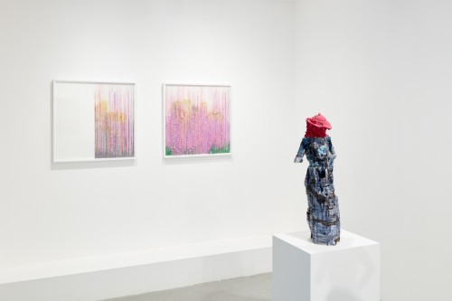 Antoine Renard - Strange attractors