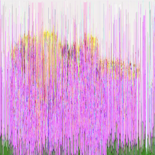 Antoine Renard - Strange attractors