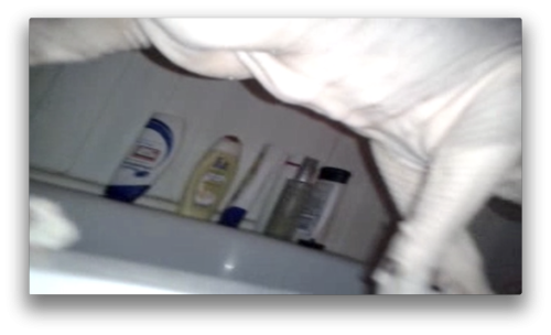 Antoine Renard - topological bath