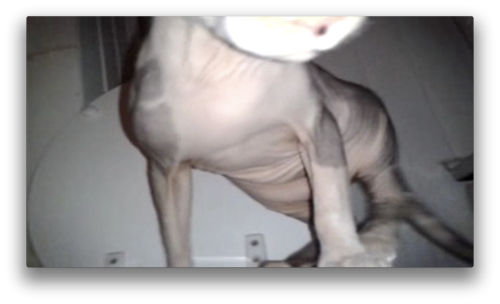 Antoine Renard - topological bath