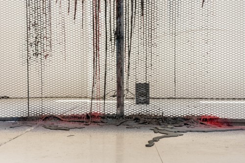 Antoine Renard - veins