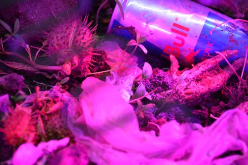 Antoine Renard - Fucked up couch