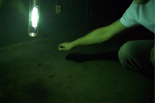 Antoine Renard - ZYTHUM