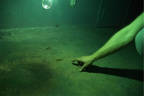 Antoine Renard - ZYTHUM